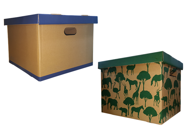 stěhování do zahraničí